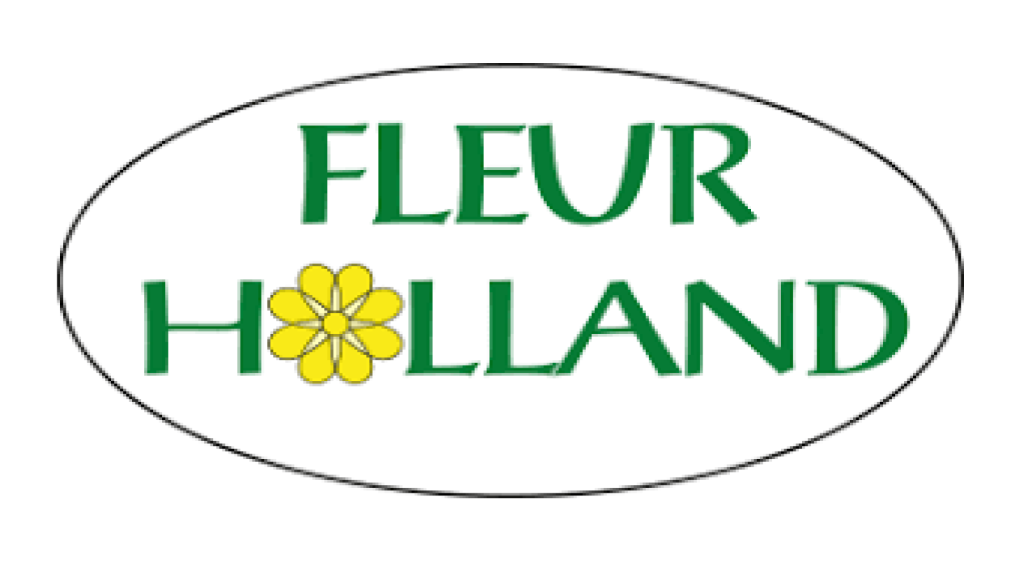 Hier geht's zu Fleur Holland